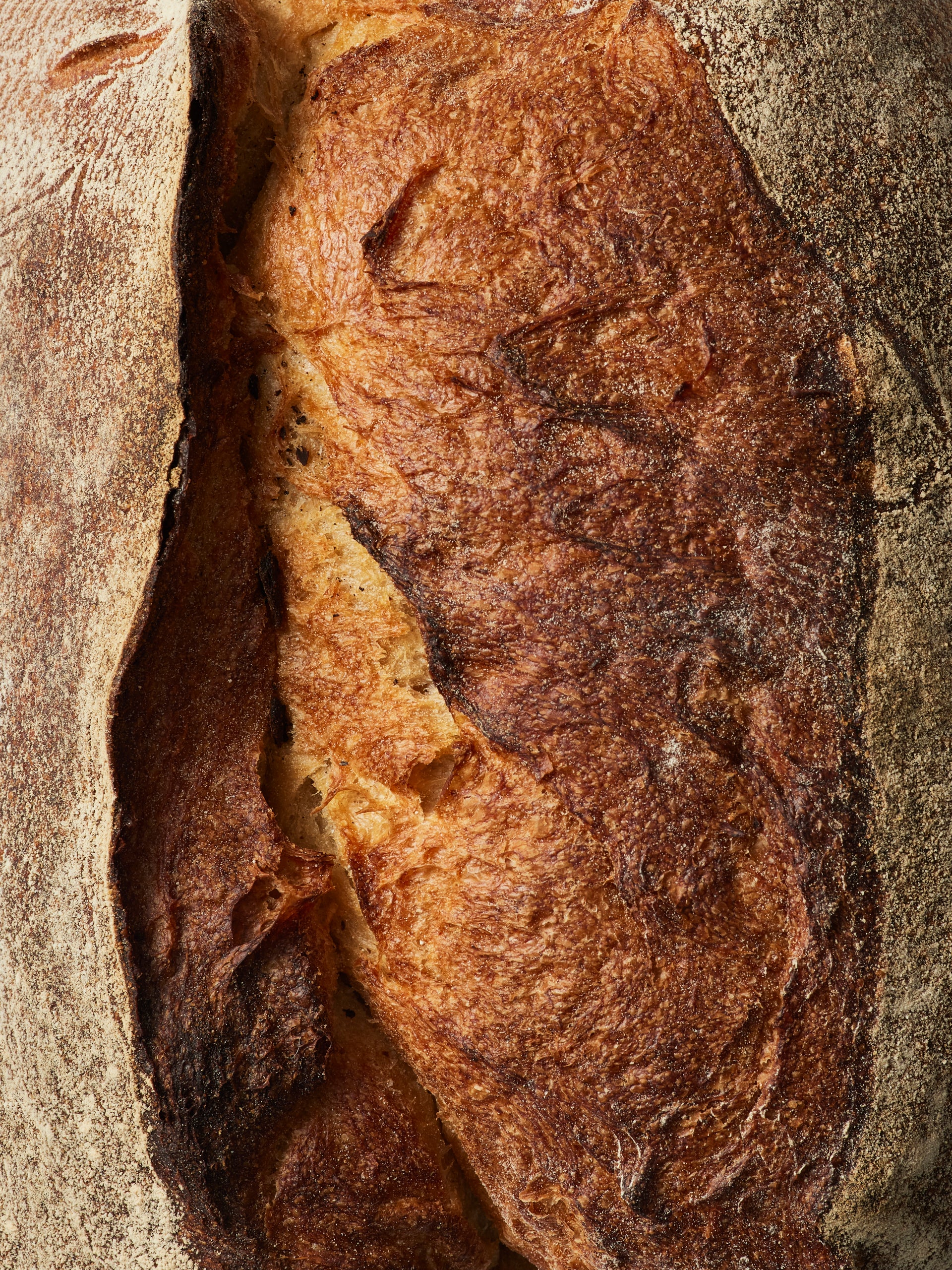 Waste-Less Sourdough 750g - Image 4